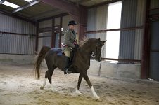 2009 SEAHG Spring Show