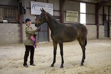 2009 SEAHG Spring Show