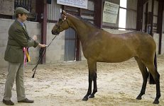 2009 SEAHG Spring Show
