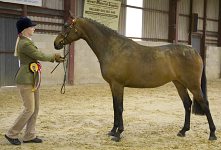 2009 SEAHG Spring Show