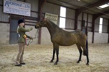 2009 SEAHG Spring Show