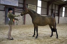 2009 SEAHG Spring Show
