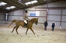 2009 SEAHG Spring Show