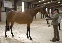 2009 SEAHG Spring Show