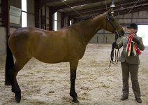 2009 SEAHG Spring Show