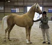 2009 SEAHG Spring Show