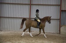 2009 SEAHG Spring Show