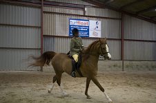 2009 SEAHG Spring Show