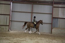 2009 SEAHG Spring Show