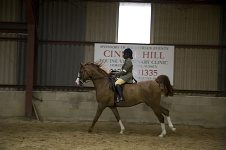 2009 SEAHG Spring Show