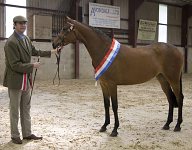 2009 SEAHG Spring Show