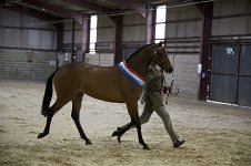 2009 SEAHG Spring Show