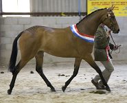 2009 SEAHG Spring Show