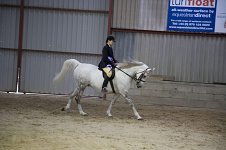 2009 SEAHG Spring Show