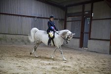 2009 SEAHG Spring Show