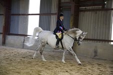 2009 SEAHG Spring Show