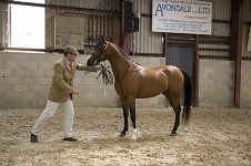 2009 SEAHG Spring Show