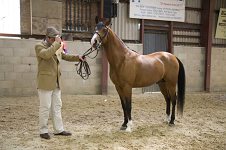 2009 SEAHG Spring Show