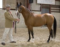 2009 SEAHG Spring Show