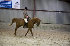 2009 SEAHG Spring Show
