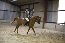 2009 SEAHG Spring Show