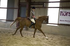 2009 SEAHG Spring Show
