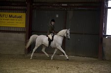 2009 SEAHG Spring Show