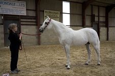 2009 SEAHG Spring Show