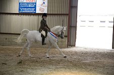 2009 SEAHG Spring Show