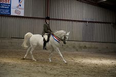 2009 SEAHG Spring Show