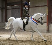 2009 SEAHG Spring Show