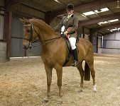 2009 SEAHG Spring Show