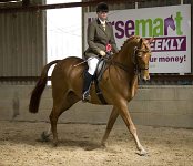 2009 SEAHG Spring Show