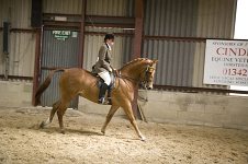 2009 SEAHG Spring Show