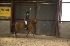 2009 SEAHG Spring Show