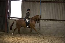 2009 SEAHG Spring Show