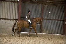 2009 SEAHG Spring Show