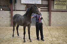 2009 SEAHG Spring Show