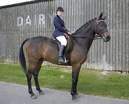 2009 SEAHG Spring Show