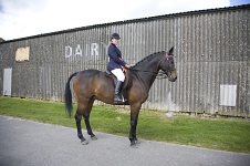 2009 SEAHG Spring Show