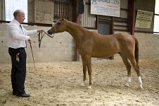 2009 SEAHG Spring Show