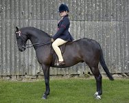 2009 SEAHG Spring Show