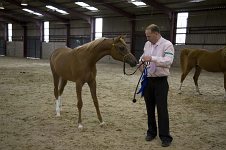 2009 SEAHG Spring Show