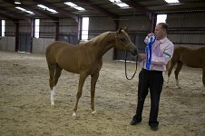 2009 SEAHG Spring Show