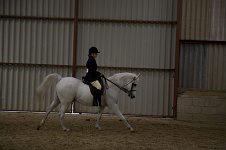 2009 SEAHG Spring Show