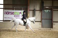 2009 SEAHG Spring Show