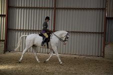 2009 SEAHG Spring Show