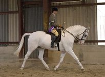 2009 SEAHG Spring Show