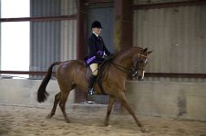 2009 SEAHG Spring Show