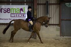 2009 SEAHG Spring Show